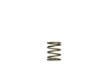 Picture of Turbosmart Gen-V WG45/50 3psi Orange Inner Spring