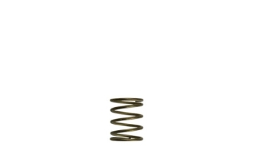 Picture of Turbosmart Gen-V WG45/50 3psi Orange Inner Spring