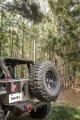 Picture of Rugged Ridge 39in RGB Lighted Whip