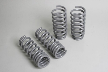 Picture of Progress Tech 04-10 Dodge Chrysler 300C/2009+ Dodge Challenger V8 Sport Springs