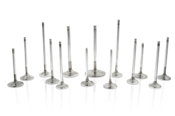 Picture of Ferrea Chevy SB 1.625in 11/32in 5.56in 0.25in +.600 Comp Plus Exh Valve - Single (Drop Ship Only)