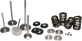 Picture of Ferrea Dodge Viper Gen 4/5 Beehive Spring Kit