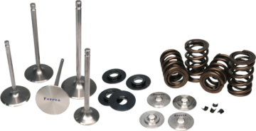 Picture of Ferrea Dodge Viper Gen 4/5 Beehive Spring Kit