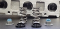 Picture of Ferrea Ford Voodoo 5.2L Pac Enhanced Dual Spring Kit