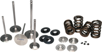 Picture of Ferrea 17-18 Audi 2.5 TFSI Single Spring Kit