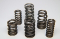 Picture of Ferrea Ford Voodoo Dual PAC Enhanced Valve Spring - Single (Drop Ship Only)