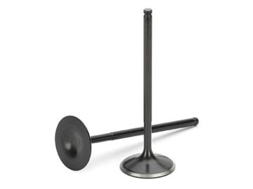 Picture of Supertech SPT Intake Valves - BMIVN-1055S-12