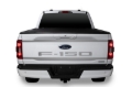 Picture of Putco 2021 Ford F-150 Ford Lettering (Cut Letters/Stainless Steel) Tailgate Emblems