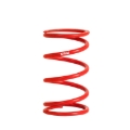Picture of Individual Race Spring
