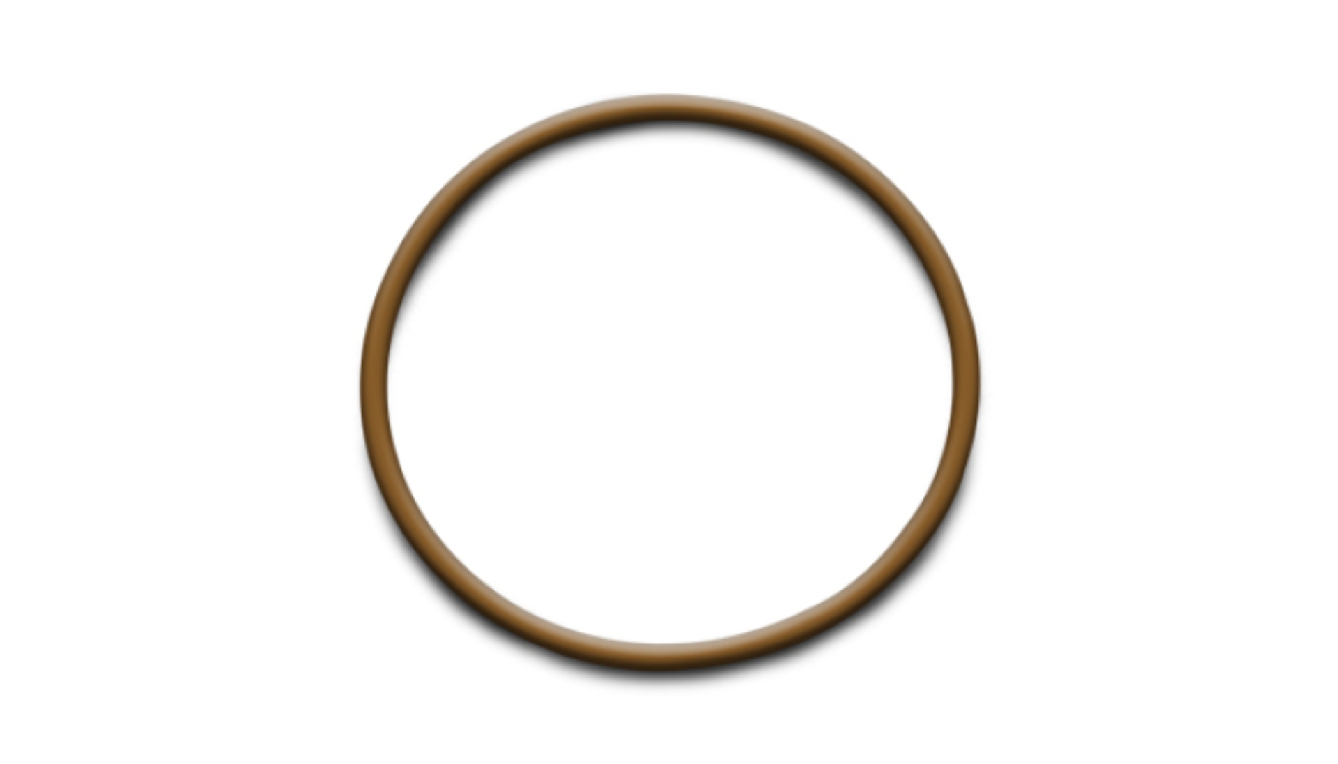 Picture of Vibrant Replacement O-Ring for 3in Weld Fittings (Part #12546)