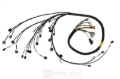 Picture of Rywire 02-04 K-Series RWD Mil-Spec Eng Harn w/02-04 Wiring/K-Pro/S2K Tran/K-Ser TB/Int (Adapter Req)