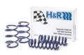 Picture of H&R HR Sport Springs Lowering Springs - 28832-2