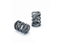Picture of Supertech SPT Dual Valve Springs Valve Springs, Retainers - SPR-TS1012-24