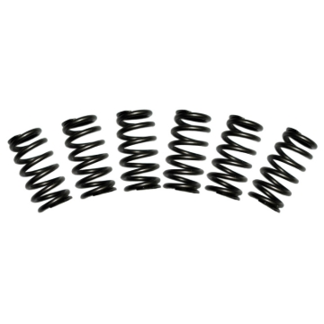 Picture of BD Diesel Valve Spring Kit 60lb Cummins 5.9 12-valve