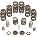 Picture of BD Diesel Governor Spring Kit 4000rpm - 1994-1998 Dodge 12-valve/P7100 Pump
