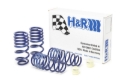 Picture of H&R HR Sport Springs Lowering Springs - 28880-3