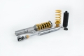 Picture of Ohlins 16-20 Audi A3/S3/RS3/TT/TTS (8V) Road & Track Coilover System