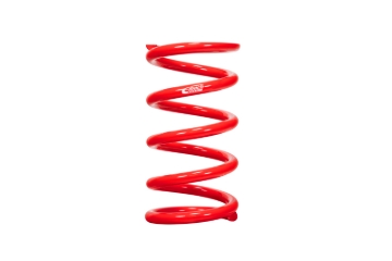 Picture of Individual Race Spring
