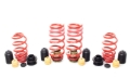 Picture of H&R 20-23 Audi RS6 Avant VTF Adjustable Lowering Springs