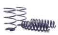 Picture of H&R 13-15 BMW X1 sDrive28i E84 Sport Spring (2WD Only)