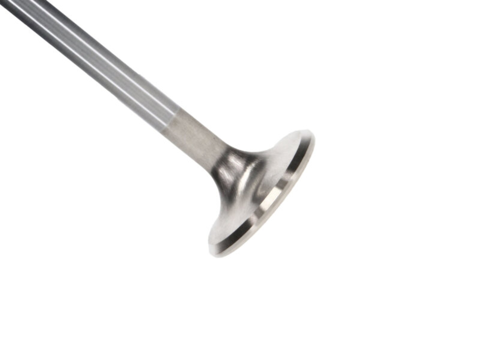 Picture of Extr. Dty. SBC Ex. Vlv Kit - 1.600 in. Head Dia.,5.065 in. O/A ,.3415 in. Stem