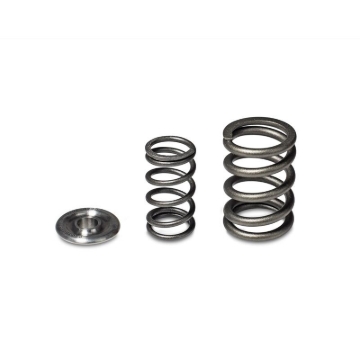 Picture of Skunk2 Alpha Series Honda/Acura H Series Valve Spring and Titanium Retainer Kit