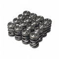 Picture of Skunk2 Alpha Series Honda/Acura H Series Valve Spring and Titanium Retainer Kit