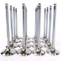 Picture of Skunk2 Alpha Series Honda/Acura Stock Size H Series Valve Set (Standard Compression)