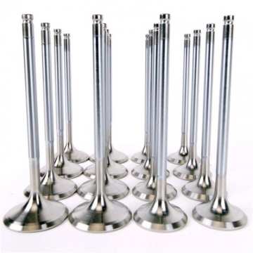 Picture of Skunk2 Alpha Series Honda/Acura Stock Size H Series Valve Set (Standard Compression)