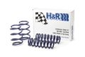 Picture of H&R HR Sport Springs Lowering Springs - 28878-5