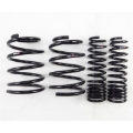 Picture of RS-R 08+ Mitsubishi Evolution X (CZ4A) Down Sus Springs