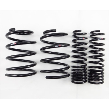 Picture of RS-R 08+ Mitsubishi Evolution X (CZ4A) Down Sus Springs