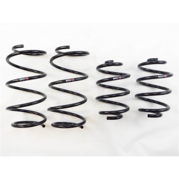 Picture of RS-R 13+ Nissan Sentra (TB17 (B17)) Down Sus Springs