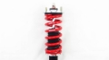 Picture of RS-R 00 Honda S2000 Sports-i Coilovers
