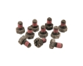 Picture of Ford Racing FR Hardware Hardware Kits - M-4216-A300