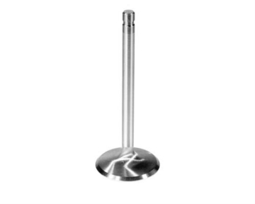 Picture of Ford Racing FR Exhaust Valves - M-6505-G302
