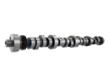 Picture of Ford Racing FR Camshaft Kits - M-6250-F303