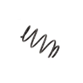 Picture of B3 OE Replacement - Coil Spring