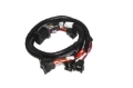 Picture of INJECTOR HARNESS, EV1 4.6,5.0, 5.4,5.8L
