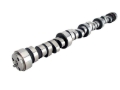 Picture of CAMSHAFT, CBVI 296ER-8