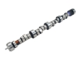 Picture of CAMSHAFT, LT1 290HR-12