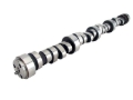 Picture of XX CAMSHAFT, CS TPX 262HR-14