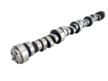 Picture of XX CAMSHAFT, CS TPX 262HR-14