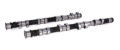 Picture of CAMSHAFT KIT, GM ECOTECH XE252 BHR-13