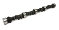 Picture of CAMSHAFT, CS 47S XS282S-10