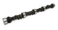Picture of CAMSHAFT, CS 47S 290B-6