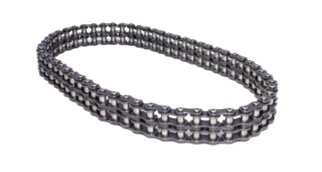 Picture of MAGNUM ROLLER CHAIN, AMC