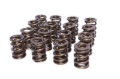 Picture of XX VALVE SPRINGS, 1.565" DUAL