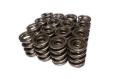 Picture of VALVE SPRINGS,1.640" BUSCH/SUP ERTRUCK