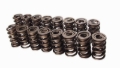 Picture of SET, DUAL SPRING W/ DAMPER, 1.560 OD, 2.050 IH, .825 LIFT, 544 LBS/IN, SR